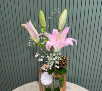 One lili withe stand