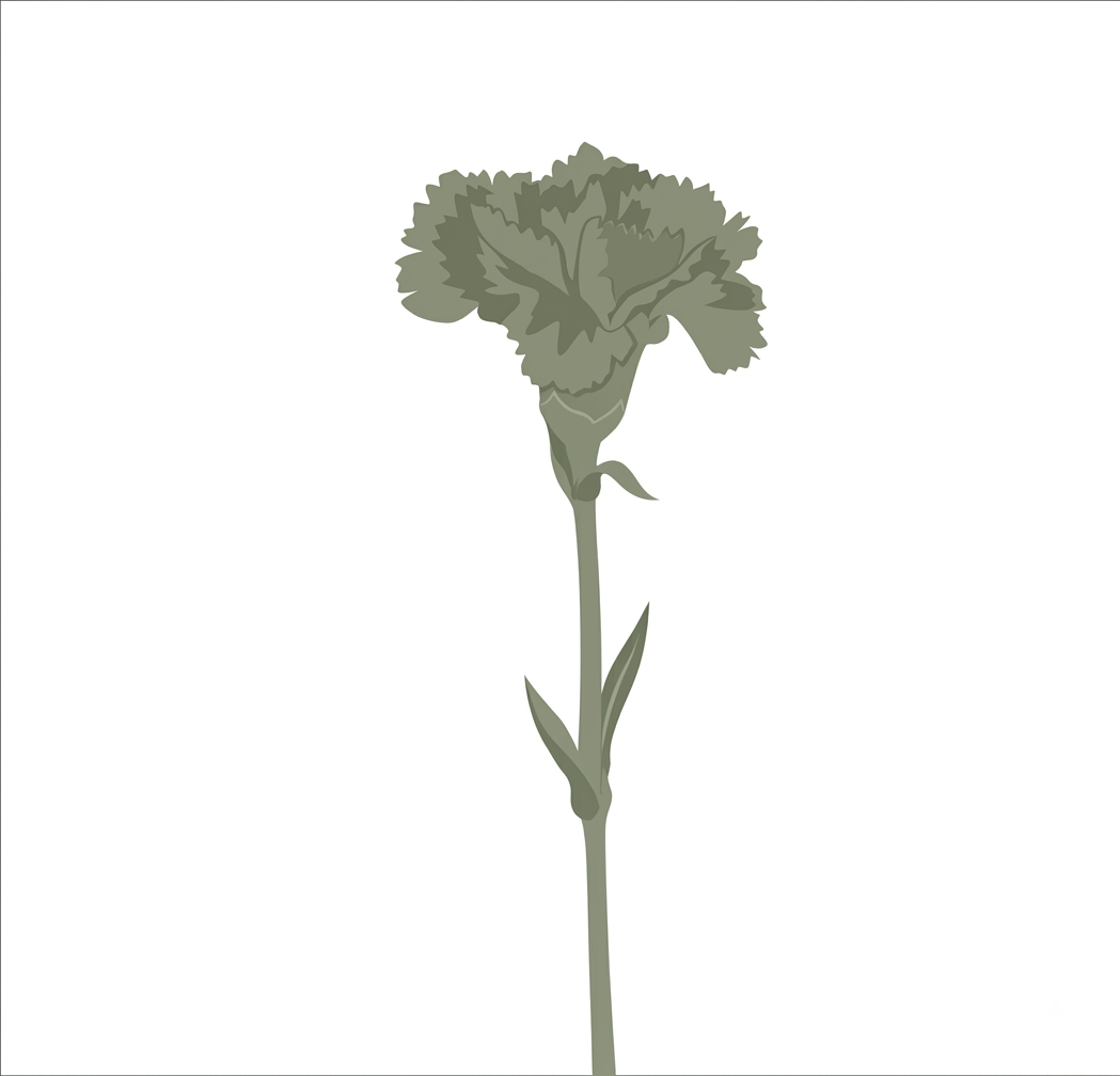 Dry Flower